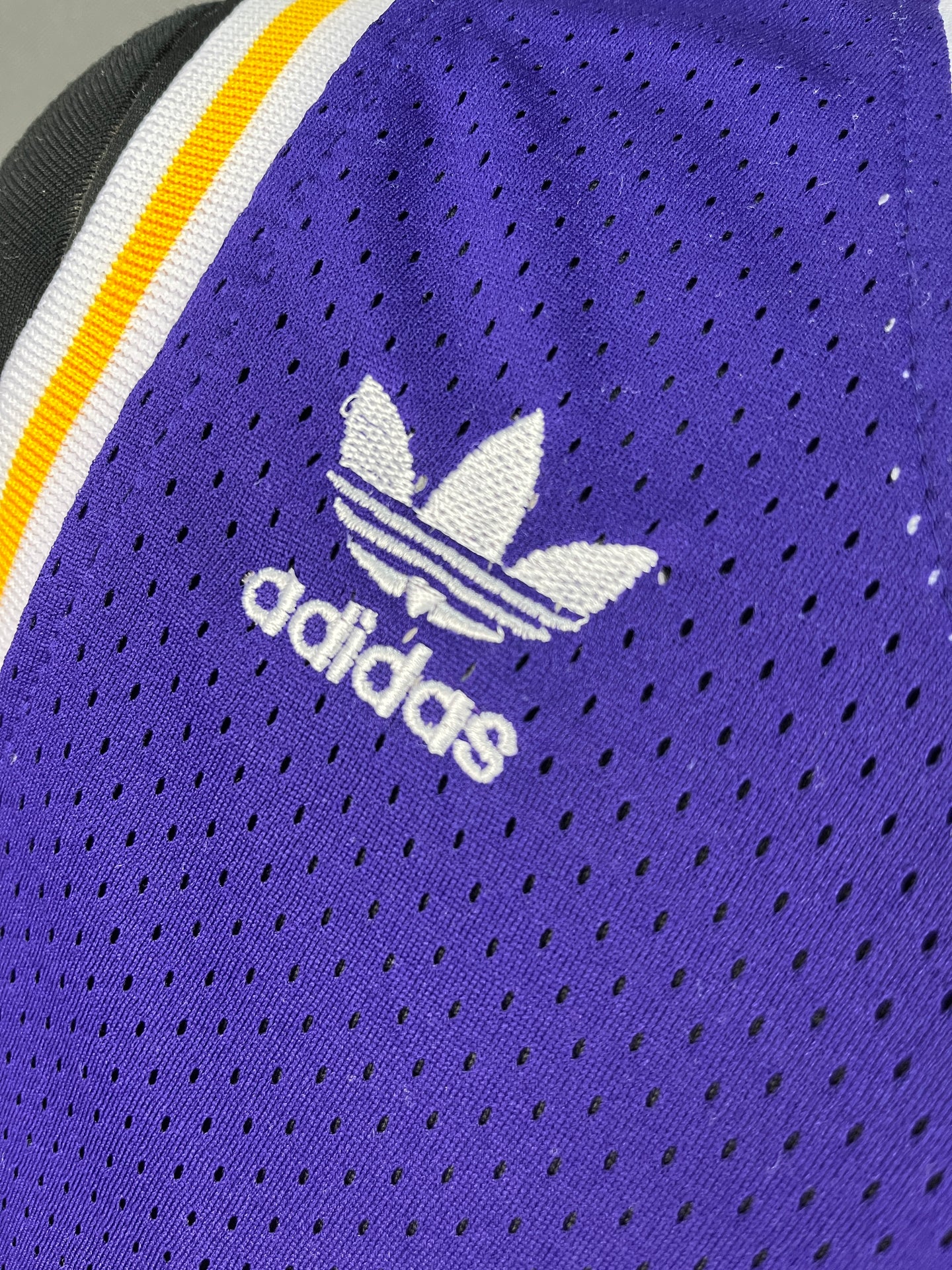 Rodman 73 Lakers Purple NBA Jersey