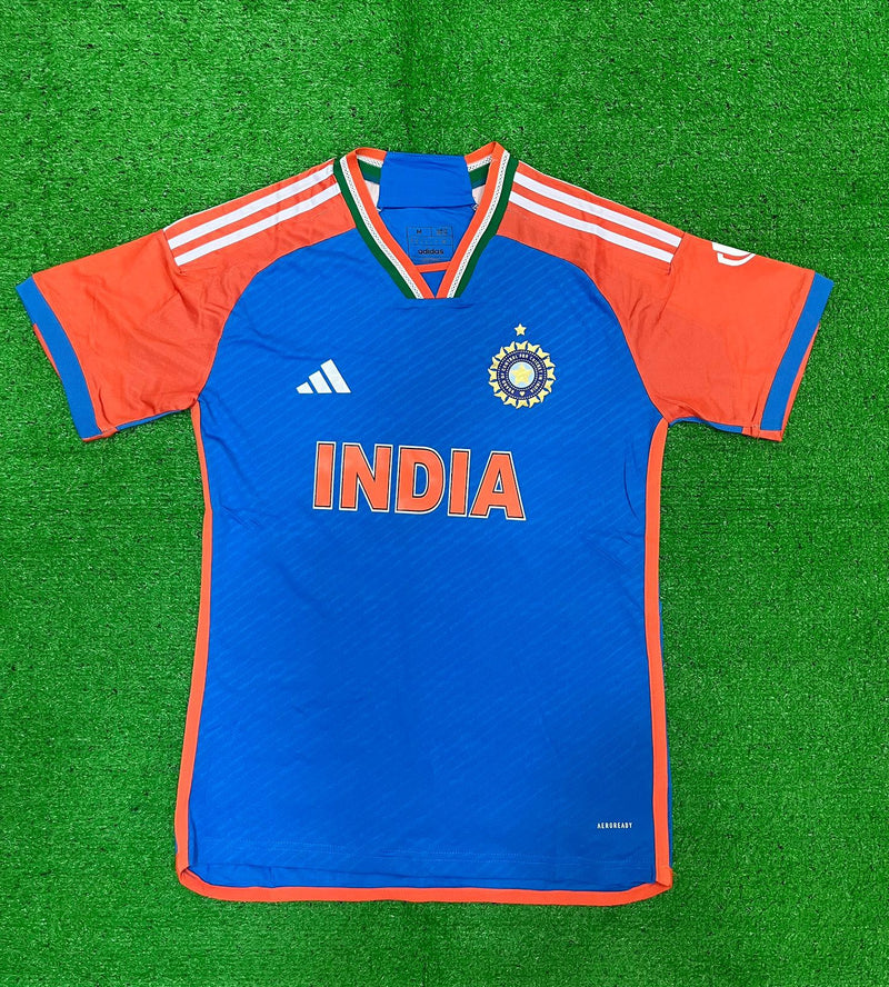 INDIA Cricket 2024 Player Version