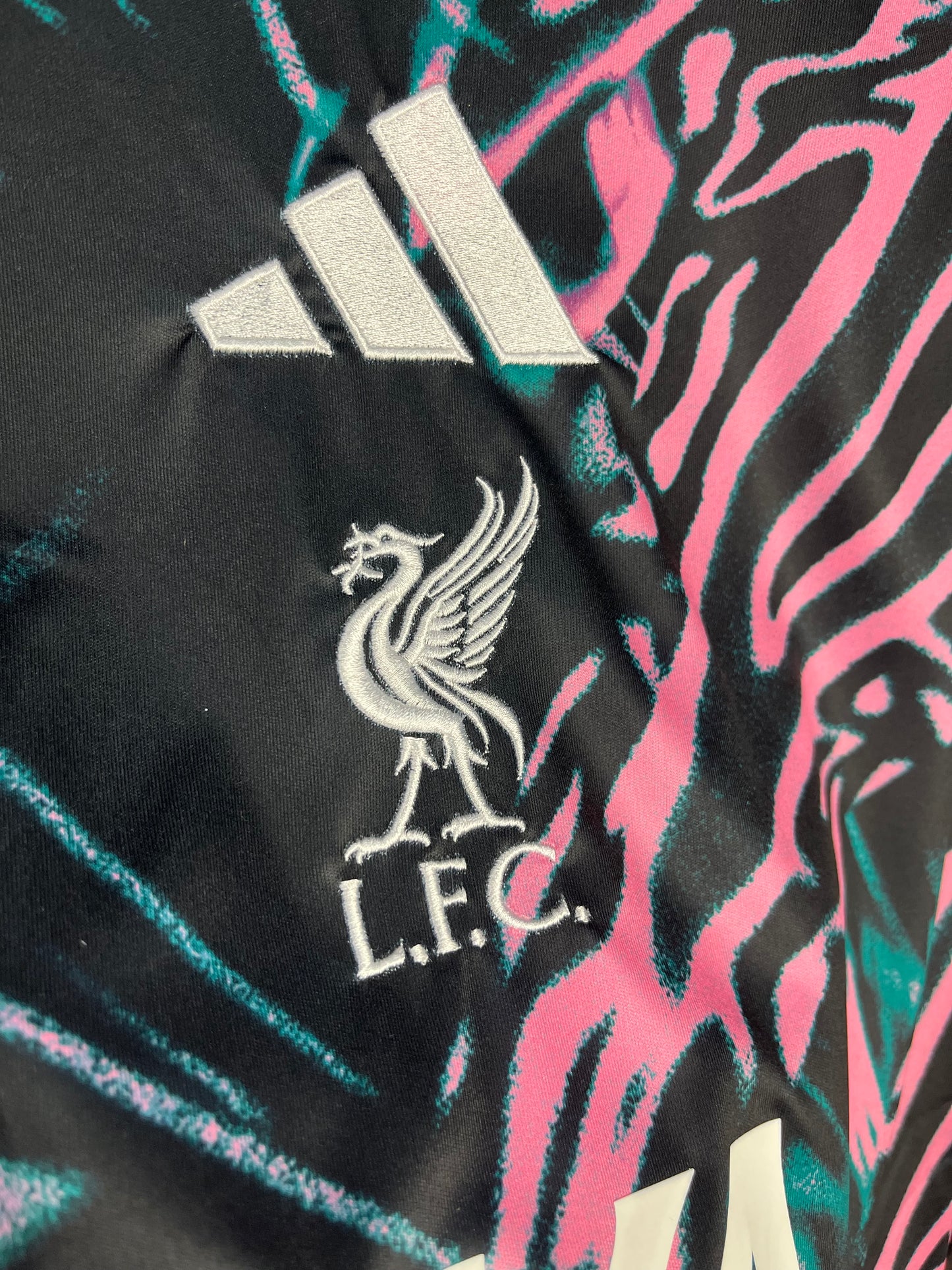 Liverpool Pre-Match Shirt 25/26 Fan Version